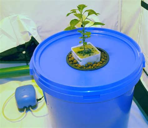 Преимущества DWC