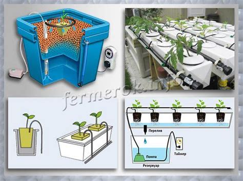 Общая схема гидропоники