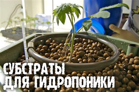 Различные виды субстратов