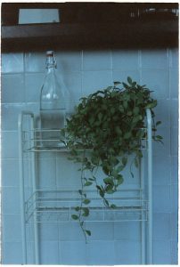Elegantly arranged glass bottle and ivy plant on metal storage rack against tiled wall.