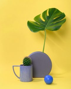Modern minimalist arrangement with cactus, Monstera leaf, and geometric items on yellow background.